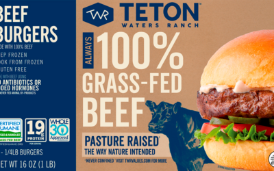 Frozen Burger Patties